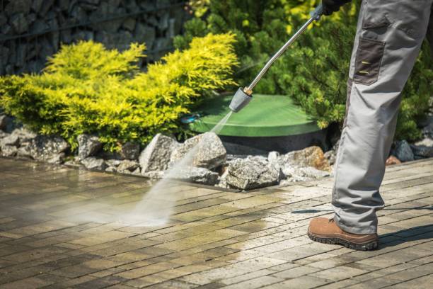 Best Driveway Pressure Washing  in Maypearl, TX
